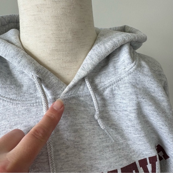 University of Minnesota Hoodie - Printed Text Graphic - Gray - Picture 5 of 7